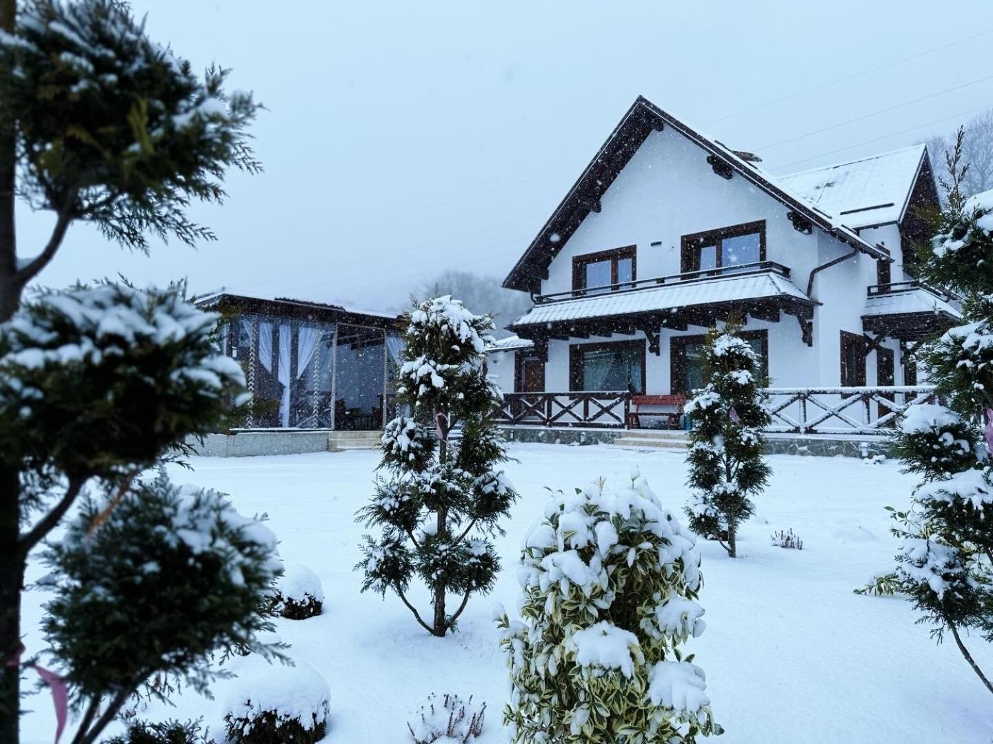 Casuta Doi Ponei Villa Busteni Exterior photo